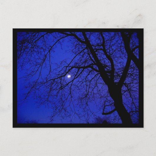 Carte Postale Arbre foncé (Devant)