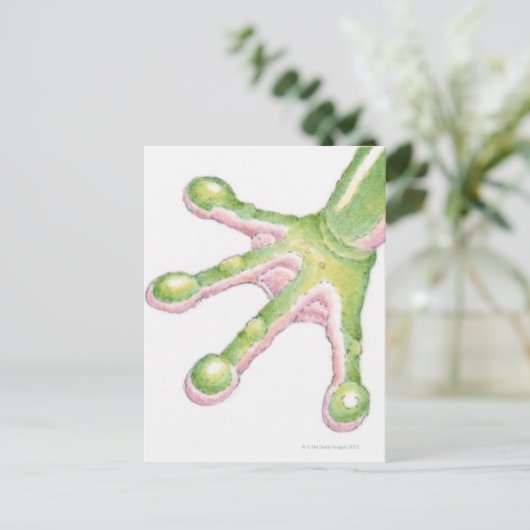 Carte Postale Arbre-grenouilles (Debout devant)