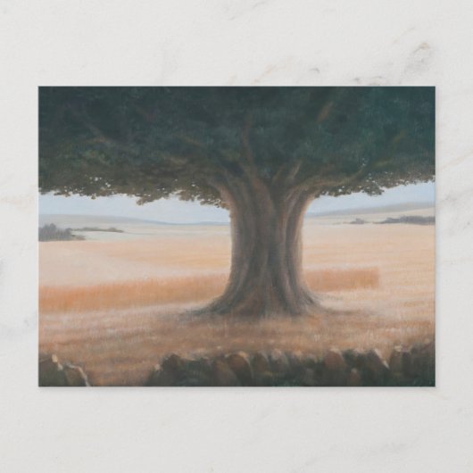 Carte Postale Arbre Holwell 2012 (Devant)