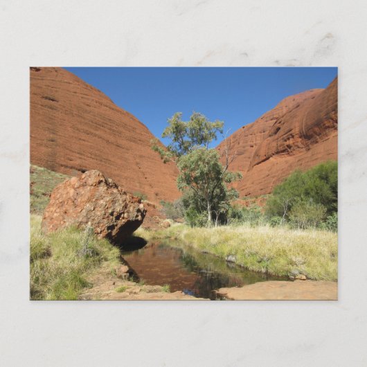 Carte Postale arbre kata tjuta (Devant)