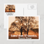 Carte Postale Arbre, Les Saisons Changent, États-Unis D'Amérique (Devant / Derrière)