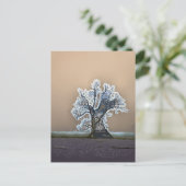 CARTE POSTALE ARBRE LONE (Debout devant)