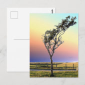 CARTE POSTALE ARBRE LONE (Devant / Derrière)