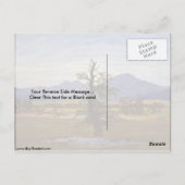 Carte Postale Arbre Lone Par Caspar David Friedrich (Dos)