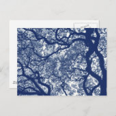 Carte Postale Arbre Magnolia - Effet Cyanotype (Devant / Derrière)