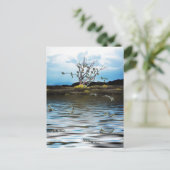 Carte Postale Arbre monétaire en un jour venteux (Debout devant)