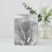 Carte Postale Arbre monochrome (Debout devant)