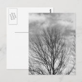 Carte Postale Arbre monochrome (Devant / Derrière)