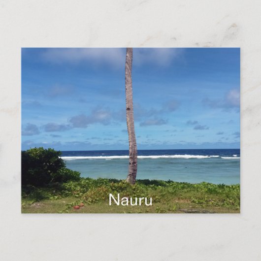 Carte Postale arbre nauru (Devant)