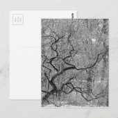 Carte Postale arbre noir et blanc (Devant / Derrière)