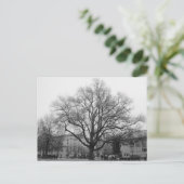 Carte Postale Arbre noir et blanc (Debout devant)