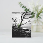Carte Postale Arbre Noir Et Blanc Avec Vignes Vertes (Debout devant)