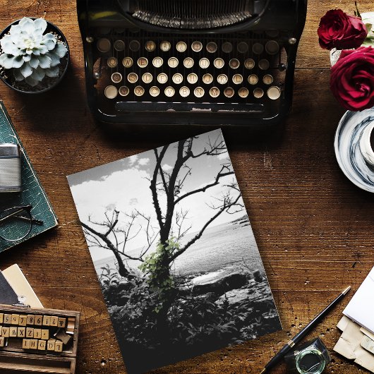 Carte Postale Arbre Noir Et Blanc Avec Vignes Vertes