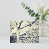 Carte Postale Arbre noir et blanc nu (Debout devant)