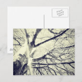Carte Postale Arbre noir et blanc nu (Devant / Derrière)