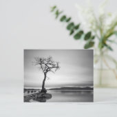 Carte Postale Arbre nu (Debout devant)