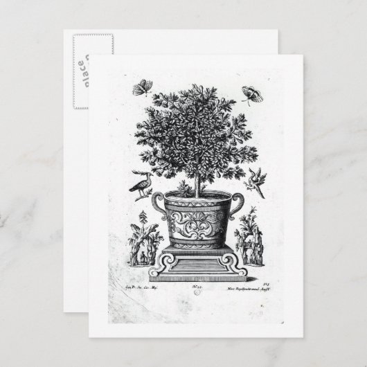 Carte Postale Arbre ornemental dans une urne sur une petite scèn (Devant / Derrière)