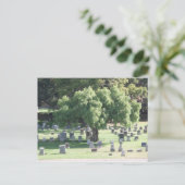 Carte Postale Arbre paisible (Debout devant)