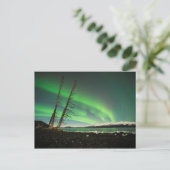 Carte Postale Arbre penché Aurora (Debout devant)