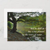 Carte Postale Arbre planté par rivière, Psaume 1:3, Écriture (Devant / Derrière)