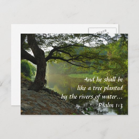 Carte Postale Arbre planté par rivière, Psaume 1:3, Écriture (Devant / Derrière)