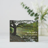 Carte Postale Arbre planté par rivière, Psaume 1:3, Écriture (Debout devant)