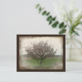 Carte Postale Arbre pomme en fleurs (Debout devant)