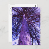 Carte Postale Arbre pourpre (Devant / Derrière)