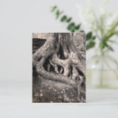 Carte postale Arbre Roots (Debout devant)
