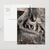 Carte postale Arbre Roots (Devant / Derrière)