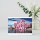 Carte Postale Arbre rose (Debout devant)