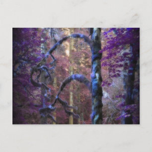 Carte Postale Arbre sacré