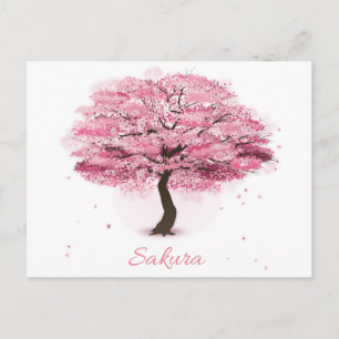 Carte Postale Arbre Sakura en fleurs