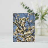 CARTE POSTALE ARBRE SAUVAGE (Debout devant)