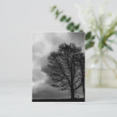Carte Postale Arbre solitaire (Debout devant)