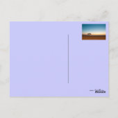 Carte Postale Arbre solitaire au lever du soleil au Koweït (Dos)