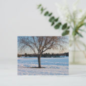 Carte Postale Arbre Solitaire dans un Champ enneigé (Debout devant)