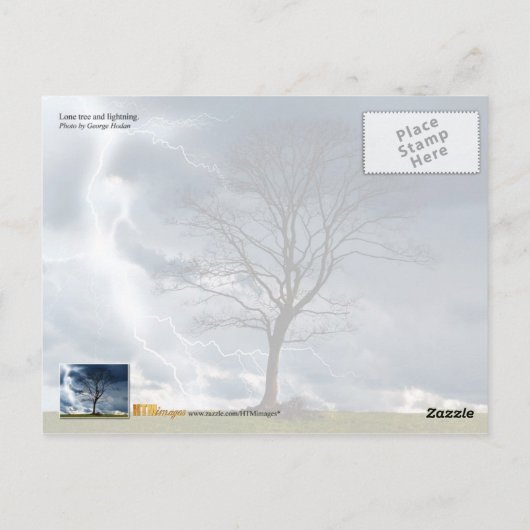 Carte Postale Arbre solitaire et éclair (Dos)