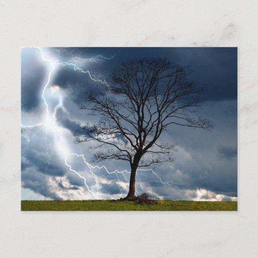 Carte Postale Arbre solitaire et éclair (Devant)