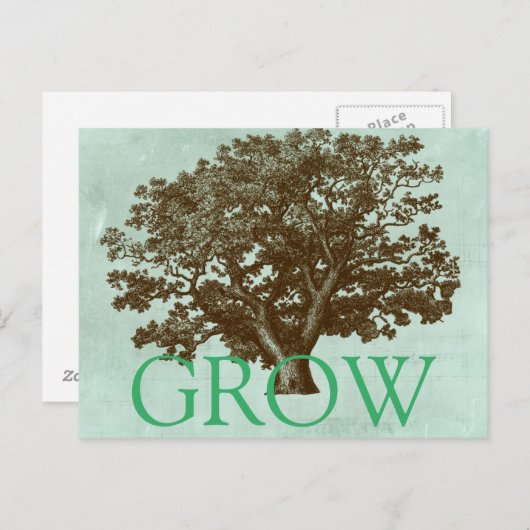 Carte Postale Arbre spa IV (Devant / Derrière)