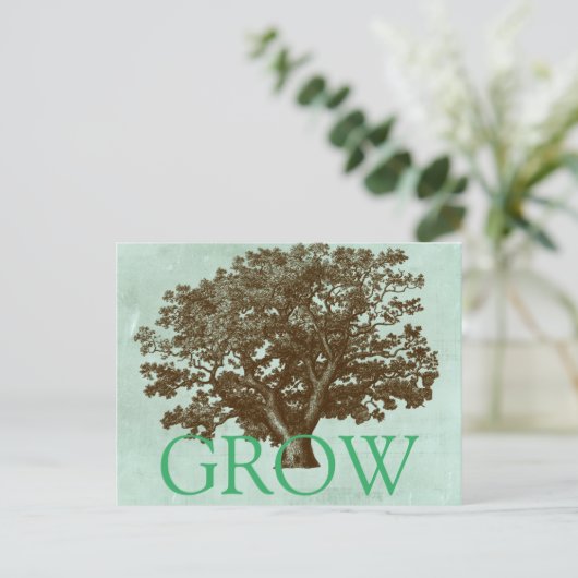 Carte Postale Arbre spa IV (Debout devant)