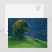 Carte Postale Arbre sur une colline (Devant / Derrière)