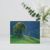 Carte Postale Arbre sur une colline (Debout devant)