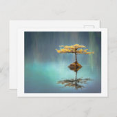 CARTE POSTALE: ARBRE SUR UNE ÎLE (Devant / Derrière)