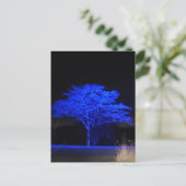 Carte Postale Arbre teint bleu (Debout devant)