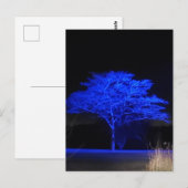 Carte Postale Arbre teint bleu (Devant / Derrière)