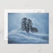 Carte Postale Arbre tempête bleu blizzard (Devant / Derrière)