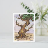 Carte postale Arbre torsadée (Debout devant)