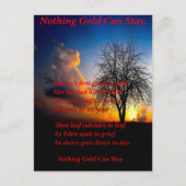 Carte Postale Arbre unique (Devant)