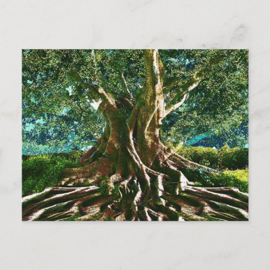 Carte Postale Arbre vert de vie (Devant)